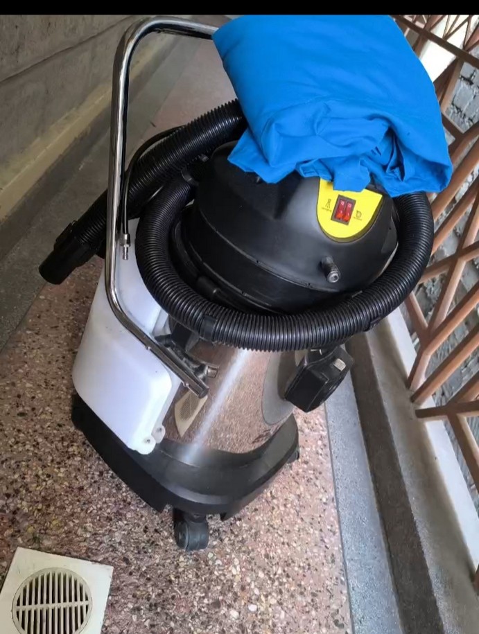 Cleaner vacuuming a carpet